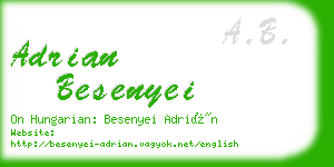 adrian besenyei business card